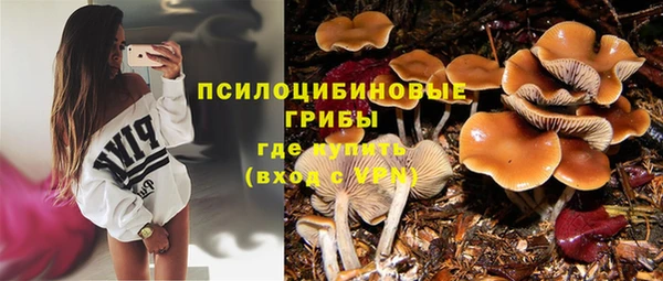 MDMA Ельня