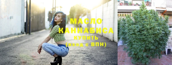 ешки Елабуга