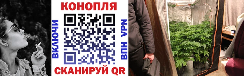 Конопля марихуана Лакинск